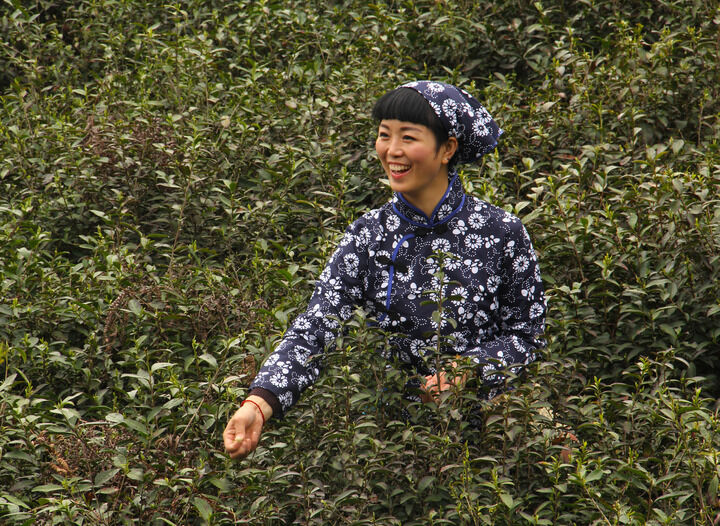 高分电影